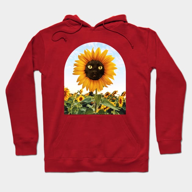 Sunflower Hoodie by mrmattmccarthy